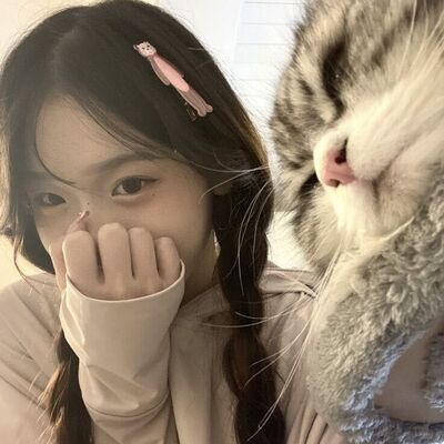  ,    , 20 ,   