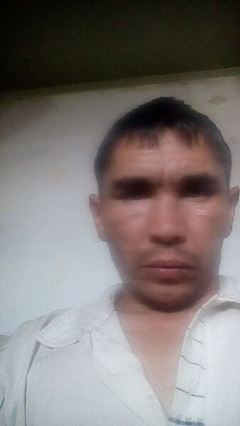  ,   Timr, 41 ,   ,   , c 