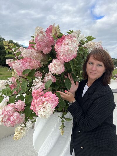 ���������� ����������, ���� ������� ���������, 38 ���, ������������ ��� ������, ����� � ���������, c�������� ���������