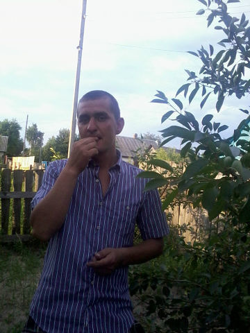  ,   , 41 ,   