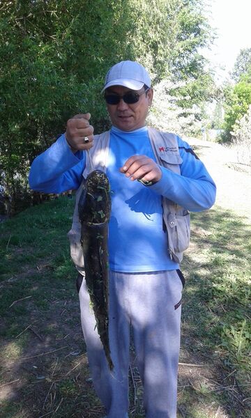  ,   Tolkun, 50 ,   ,   , c 