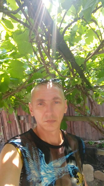  ,   BORDO, 50 ,     , c 