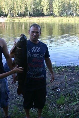  ,   , 51 ,   