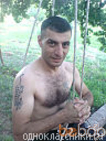 ,   SURO, 40 ,  