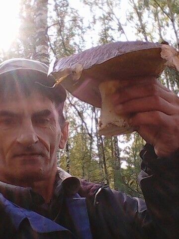  ,   , 55 ,   