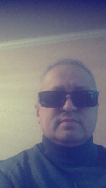  ,   BIBIT, 55 ,     , c 