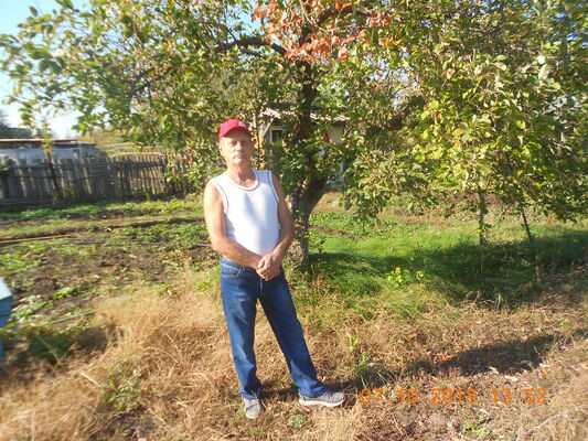  ,   , 65 ,   ,   