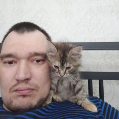  ,   , 41 ,   c 
