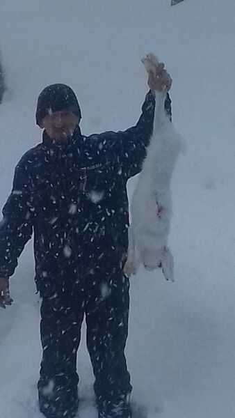  -,   , 58 ,   ,   , c 