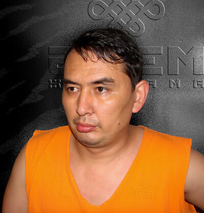  ,   Armany, 51 ,   