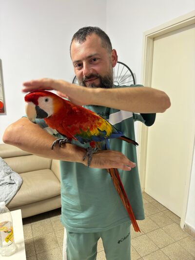  ,   Alexander, 34 ,   ,   , 
