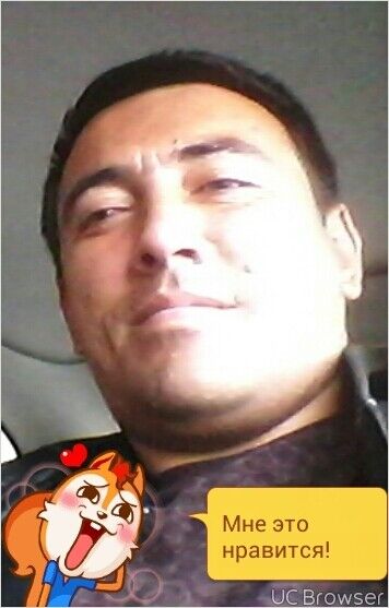  ,   Tigr, 40 ,   