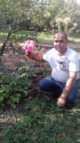  -,   , 54 ,     , c , 
