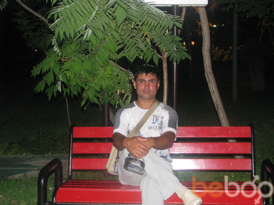  1515540  BEK, 55 ,    