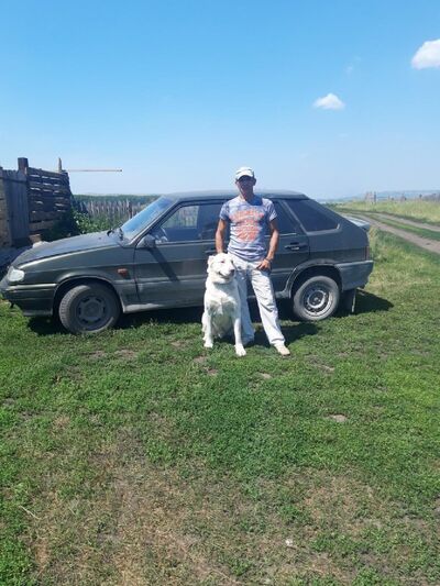  ,   , 54 ,  