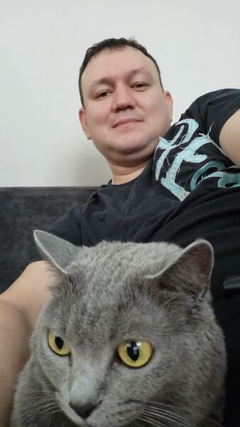  ,   , 41 ,   ,   