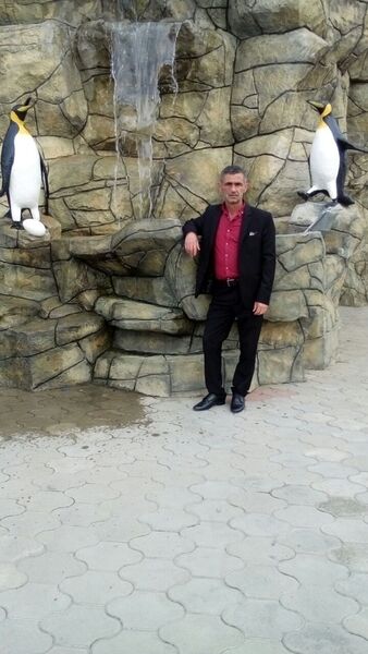  ,   , 58 ,   ,   