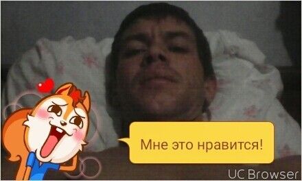  8173510  , 36 ,    