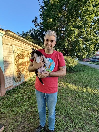  ,   , 41 ,   ,   , c , 