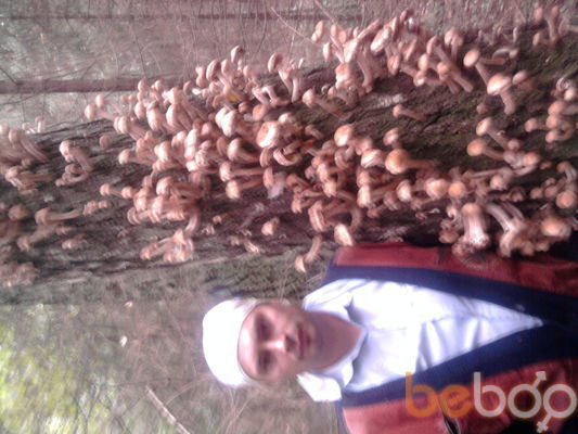  ,   Sava, 50 ,  