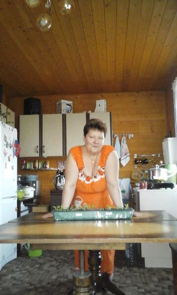 ,   , 56 ,  