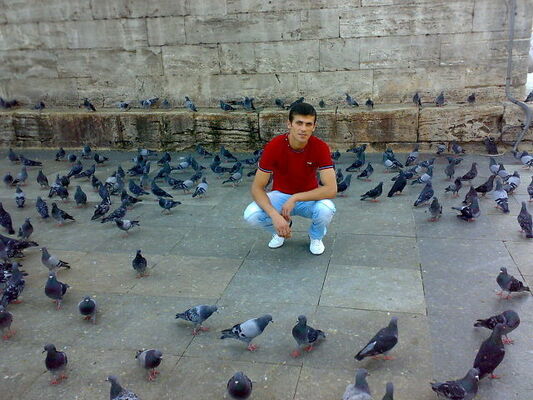  ,   Musaa, 47 ,   