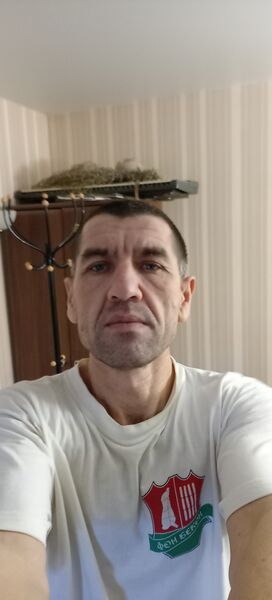  ,    , 51 ,   ,   