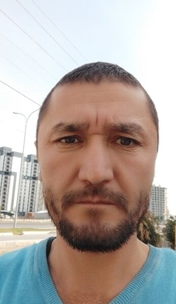  ,   , 43 ,     