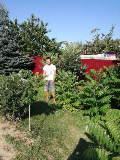  ,   Roman, 36 ,   