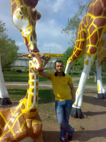  ,   , 41 ,   
