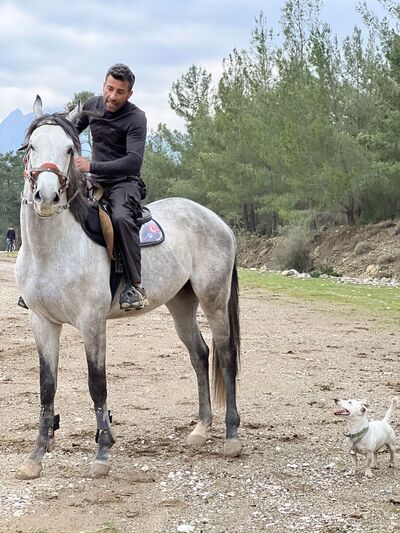  Alanya,   Soner, 45 ,   ,   