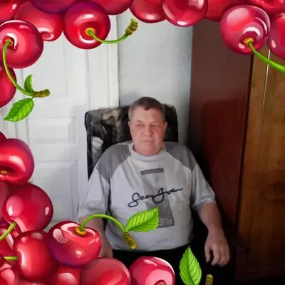  ,   , 66 ,   ,   