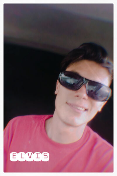 ,   ELVIS, 28 ,   ,   , c , 