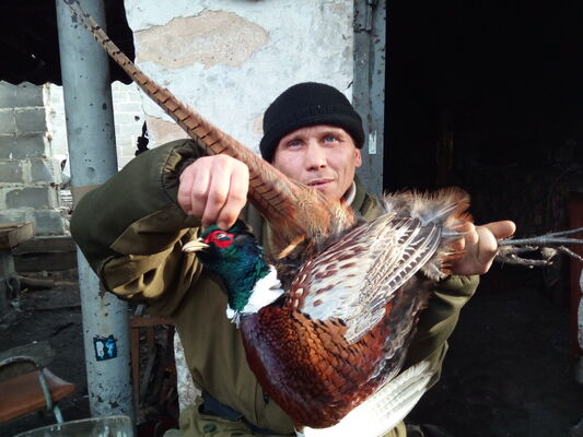  ,   , 46 ,   ,   , c 