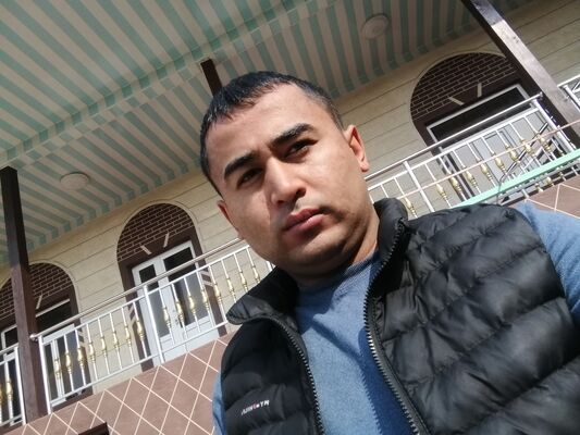  Pszczyna,   , 31 ,   ,   , c 