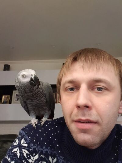  ,   , 37 ,   ,   , 
