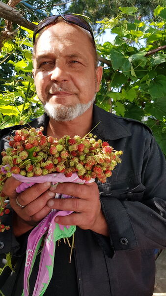  ,   Andrey, 51 ,   ,   , c , 