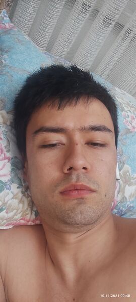  ,   Golib, 31 ,   ,   