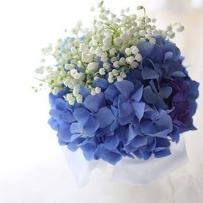  Lagos,   Abdul Godwin, 32 ,   ,   , c 