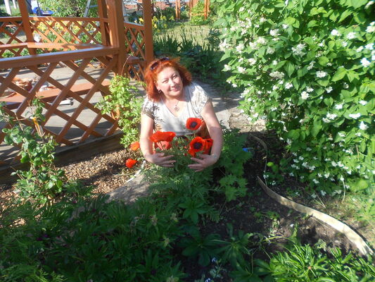  ,   , 60 ,   ,   , c 