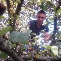  ,   , 34 ,   ,   , c , 