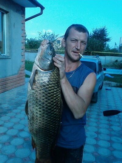  ,   , 54 ,   