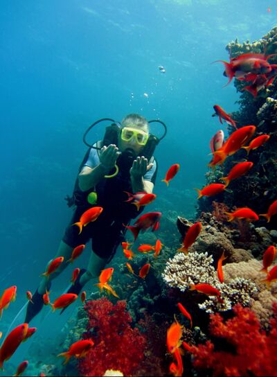  ,   , 64 ,   ,   , c 