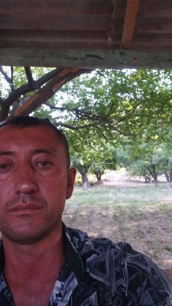  ,   Damir, 42 ,   ,   , c 