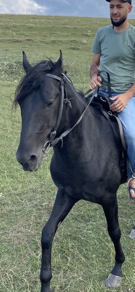  ,   , 35 ,   ,   , c , 