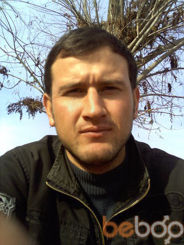  997870  Shymaher 100, 41 ,    