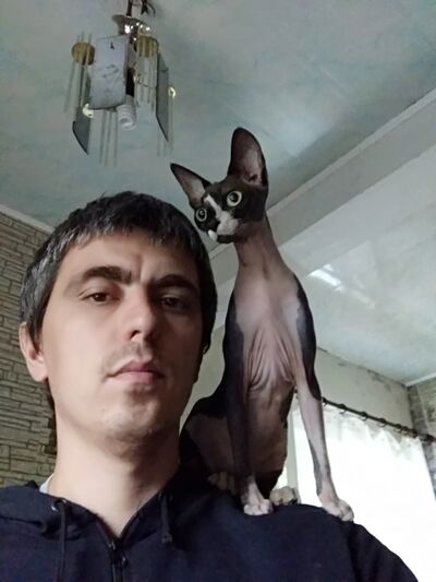  ,   , 34 ,   ,   