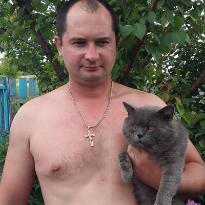 ,   , 41 ,   