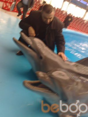  ,   Hamik57, 62 ,   