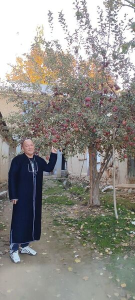  ,   Aslam, 51 ,   ,   